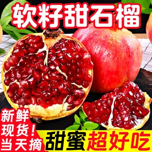 [突尼斯软籽石榴新鲜水果包邮5斤 四川会理红宝石无籽石榴精选大果]