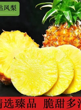 精选金钻凤梨9斤 新鲜香水大菠萝当季水果手撕菠萝消皮即食甜整箱