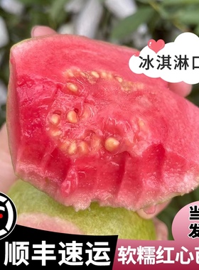 树熟奶油红心芭乐软糯番石榴5斤 低脂鸡屎果香甜胭脂红土芭乐现货