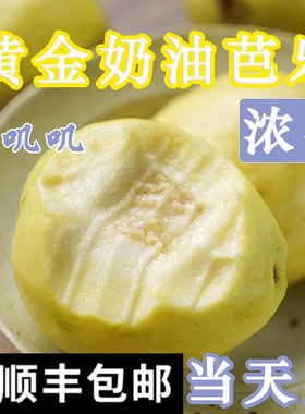 精选软糯奶油芭乐5斤 胭脂红番石榴鸡屎果新鲜广西黄金白心土芭乐