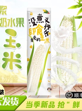 漳州爆浆冰糖牛奶水果玉米生吃棒子新鲜即食金银甜嫩糯代餐食现摘