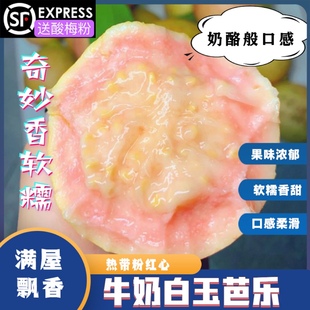 牛奶白玉胭脂红番石榴软糯粉红心芭乐5斤 新鲜水果软心奶油鸡屎果