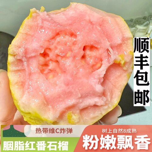 热带奇妙香！软糯甜！胭脂红芭乐