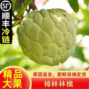 台湾凤梨大目释迦果5斤大果新鲜农产品 现摘番荔枝牛奶释迦摩尼果