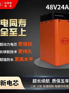 比亚迪48V60V72V两三轮磷酸铁锂
