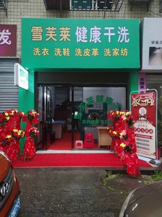 雪芙莱干洗店干洗设备干洗机烘干机熨烫设备 小型洗衣店设备全套