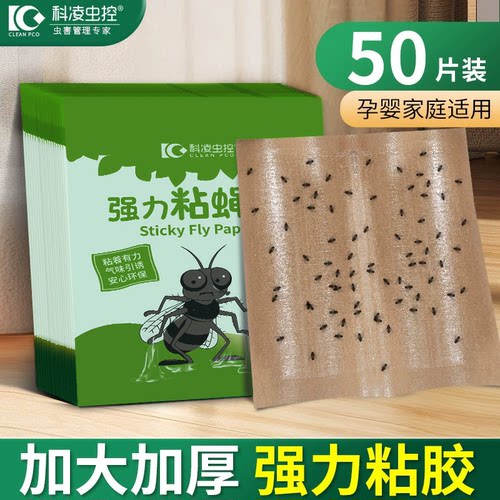 科凌虫控家用强力粘蝇纸苍蝇克星
