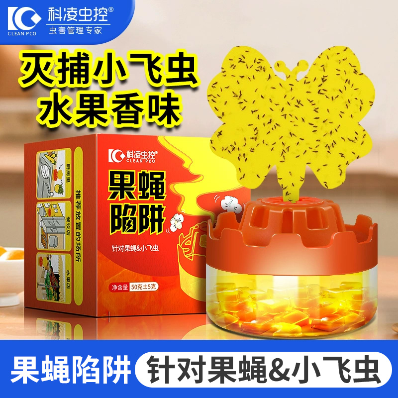 科凌虫控灭果蝇小飞虫送粘虫板