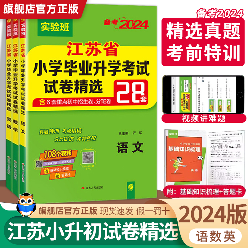 2024小升初江苏省小学毕业升学考试试卷精选28套卷语文数学英语小考总复习春雨六年级下毕业升学系统总复习资料苏教版真题卷必刷题-封面