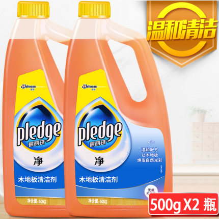 碧丽珠洗地板清洁剂500g家用实木复合地板保养去污垢地板油清洗剂