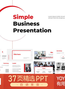 红色线条简约线条现代商务极简主义项目提案报告公司简介PPT模板