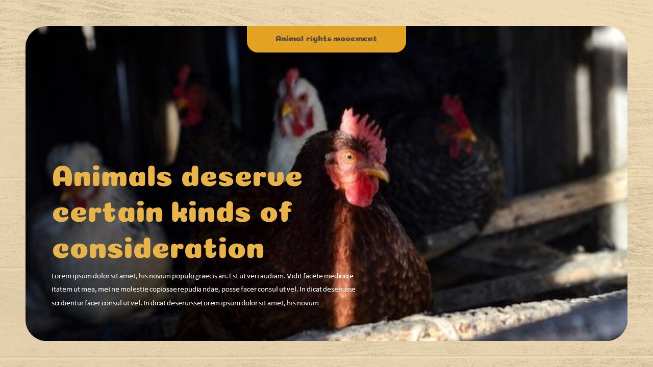 动物园动物环境保护大自然非洲野生公园宠物伙伴狮子ppt模板素材