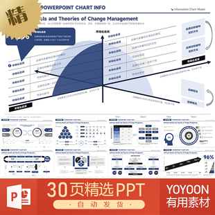 BCG波士顿咨询风格数字化信息流方法论图表思维模型模式PPT模板