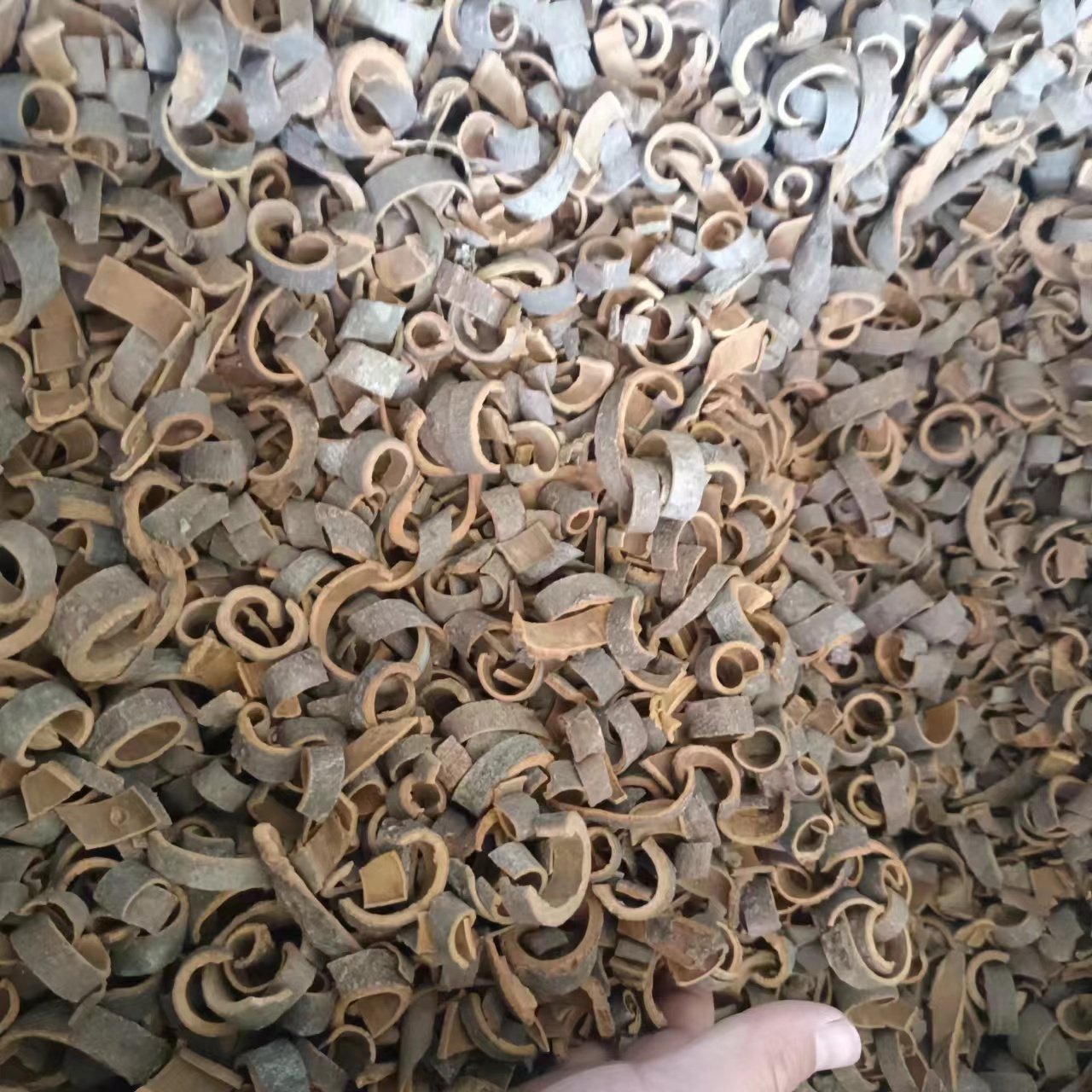 黑桂皮卷500g切断桂卷带皮厚桂皮烟桂通香料卤料卤肉鸭脖干货调料,粮油调味/速食/干货/烘焙,香辛料/干调类,淘宝优惠券,粉丝福利购,淘宝优惠卷