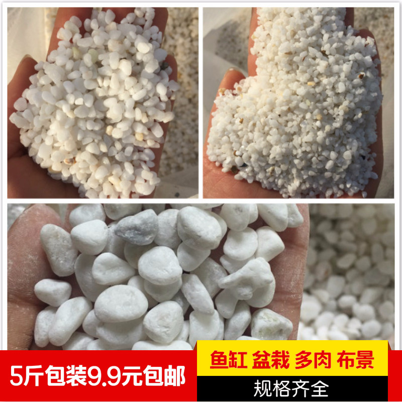包邮5斤装天然小石头雨花石枯山水庭院白石子花盆栽多肉装饰铺面