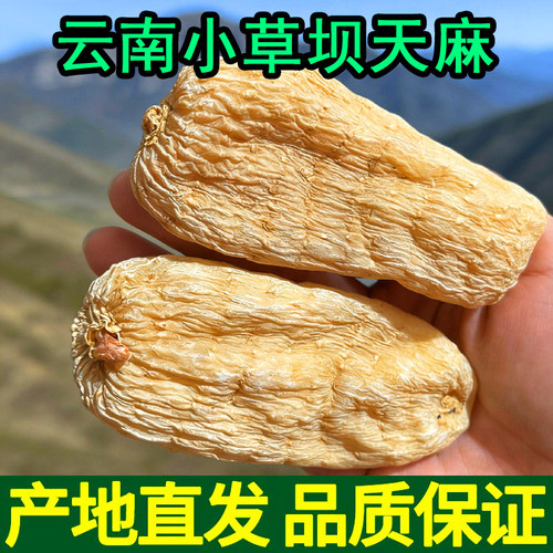 老天麻干货500g整个正宗云南昭通非新鲜正品小草坝天麻干片中药材