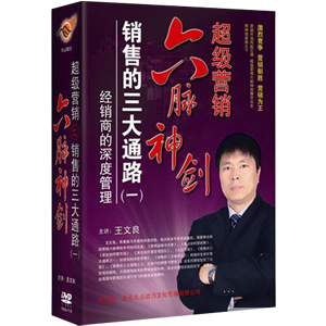正版包发票 王文良 销售的三大通路（一）经销商的深度管理 6DVD