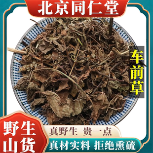 北京同仁堂野生特级车前草中药材泡水喝天然无硫包邮正品原料100g