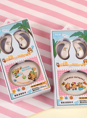 新款卡皮巴拉耳挂运动OWS蓝牙6.0立体声真无线耳机耳朵先森TWS275