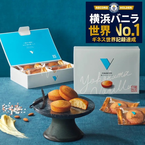 现货超推日本yokohama vanilla横滨经典盐香草费南雪蛋糕礼盒