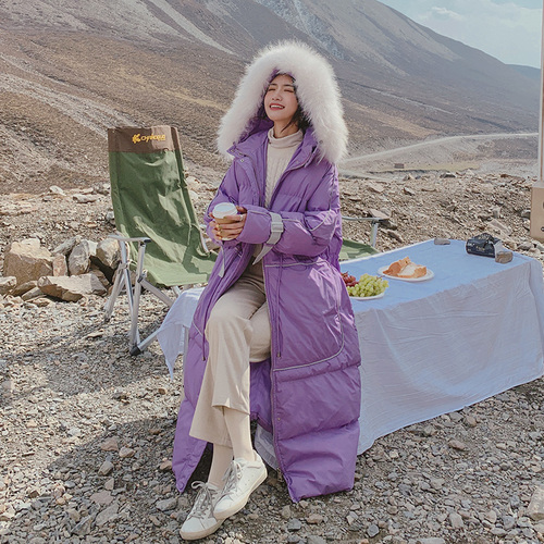 浙宝337 ZB3376015 整款下架