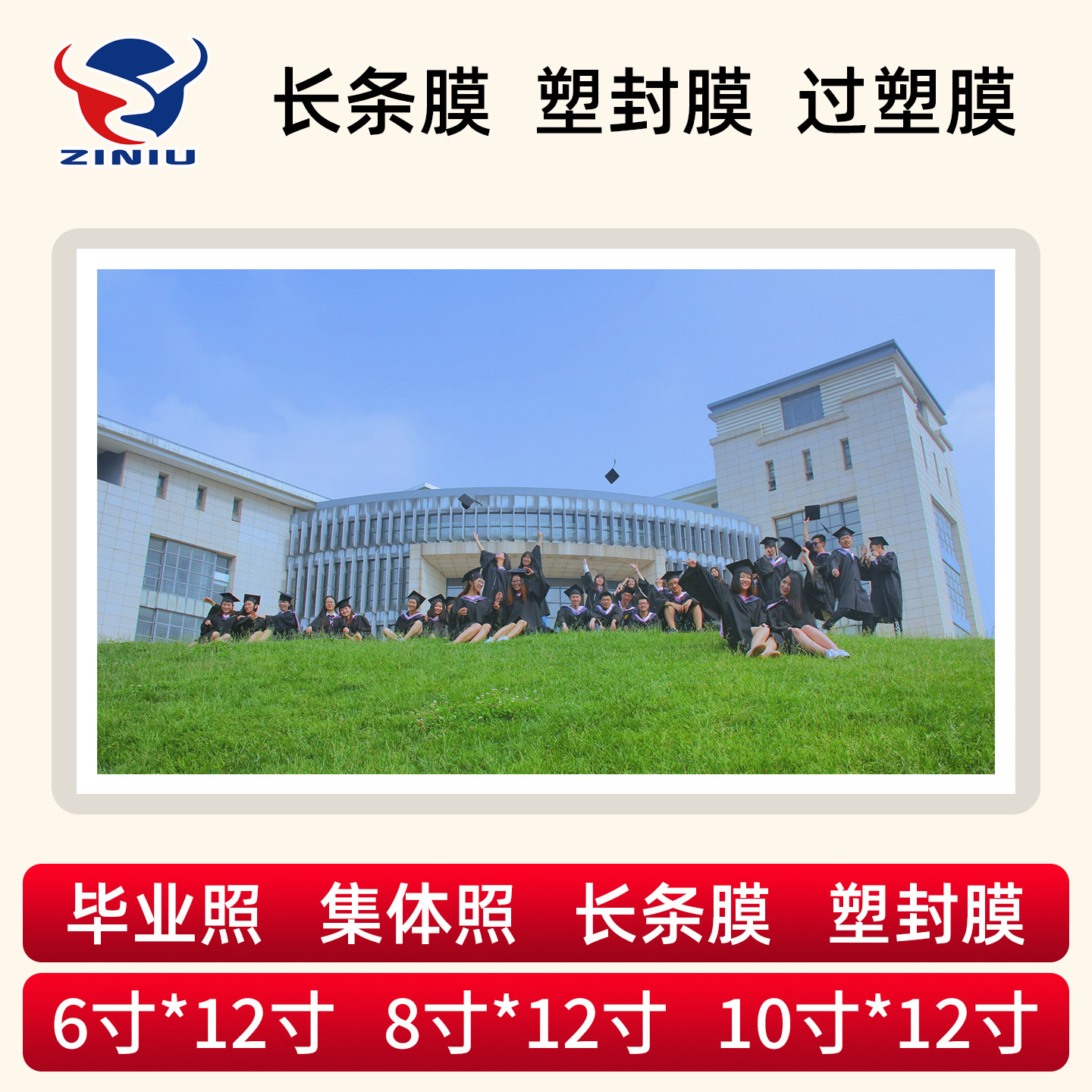 毕业照塑封膜8*12寸集体照6*12过塑膜8X10X16X18团体照合影过胶膜