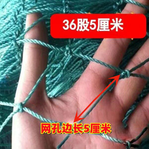 户外养殖网果园防鸟网5厘米网孔家禽鸡鸭鹅鱼塘防鸟网安全防护网