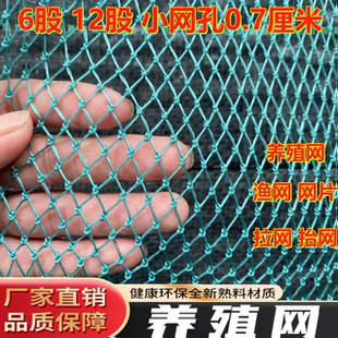 定制渔网网片0.7小网孔网箱隔断网防护网养殖网池塘防鸟网爬藤网