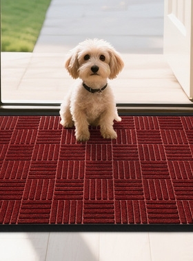 跨境简约入户地垫红色进门玄关耐脏脚垫大门口除尘耐脏橡胶门垫子