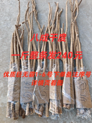 正品子洲巨无霸野生优质鲜黄芪杆