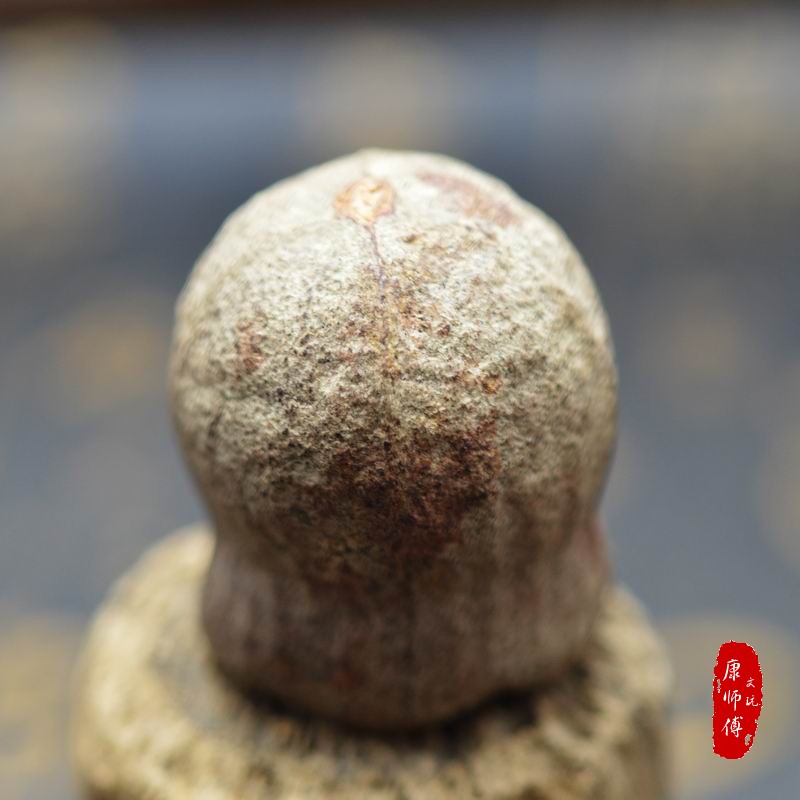 日进斗金菩提 乾坤袋菩提 斗金菩提子 钱袋子菩提 斗金籽手捏斗金