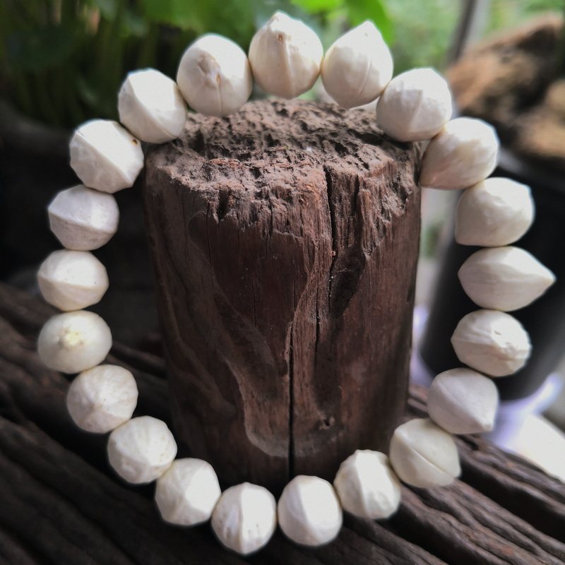 雪蝉菩提子手链 佛珠雪禅菩提紫金钵盂菩提子双面莲花 仙枝菩提子