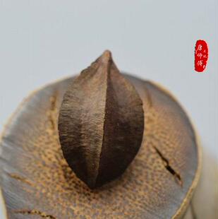 菩提子圣果菩提菩提子车挂菩提钥匙挂菩提佛珠菩提雕刻崖柏雕刻