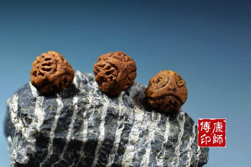 山地龙眼菩提子 凤眼菩提子 金刚 金丝菩提 星月 麒麟眼 太阳菩提