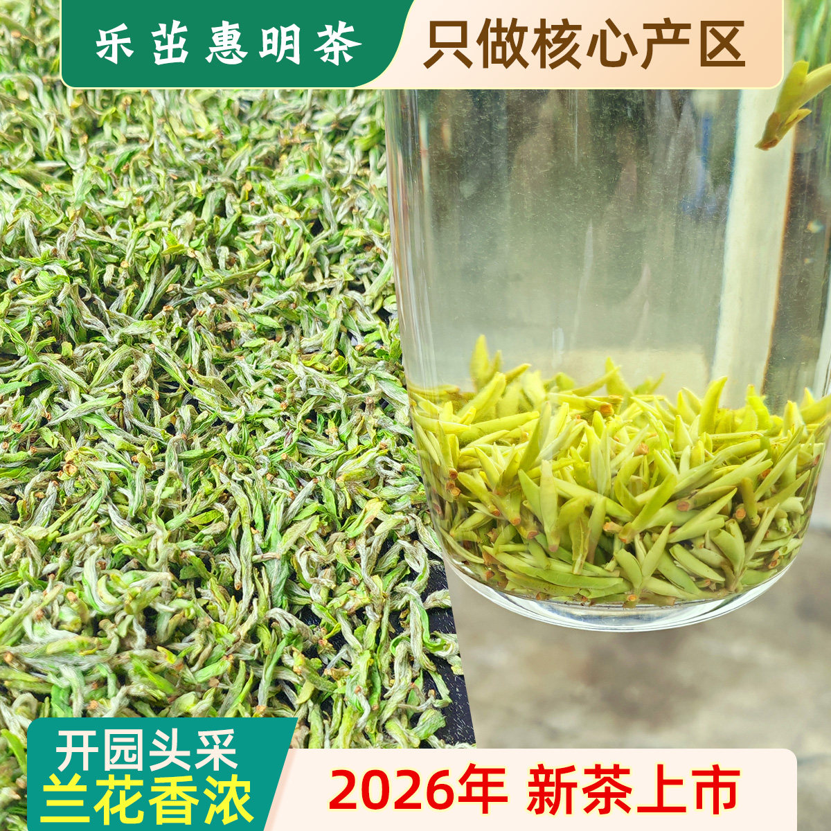 乐茁2026年新茶 金奖惠明茶 开园头采5优 明前景宁特产手工绿茶