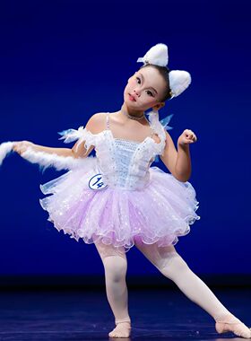 儿童玩具猫咪舞蹈演出女童芭蕾舞亮片公主纱裙幼儿园小狐狸表演服