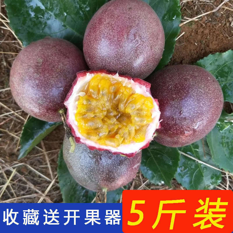 新鲜百香果5斤广西现摘现发特级百香果