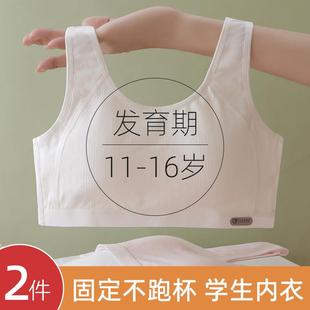 少女内衣发育期学生背心中纯棉文胸固定杯跑步防震运动女初中女童