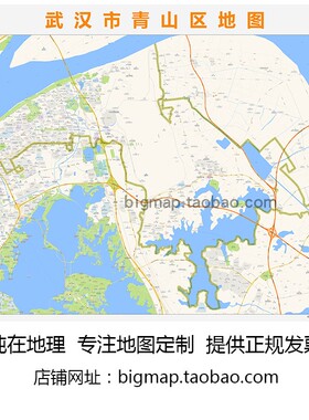 武汉市青山区地图2025路线定制城市交通卫星影像区域划分贴图