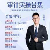审计实操合集