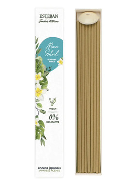 ESTEBAN阳光鸡蛋花调线香清新夏天的香气放松舒缓温暖