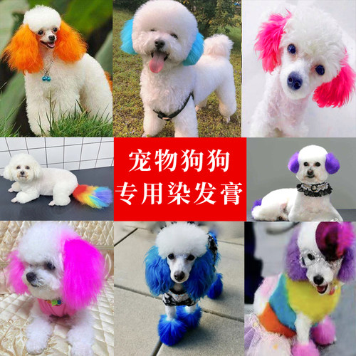 狗狗染色剂宠物专用染发膏白色比熊猫咪染毛膏持久不掉色美毛