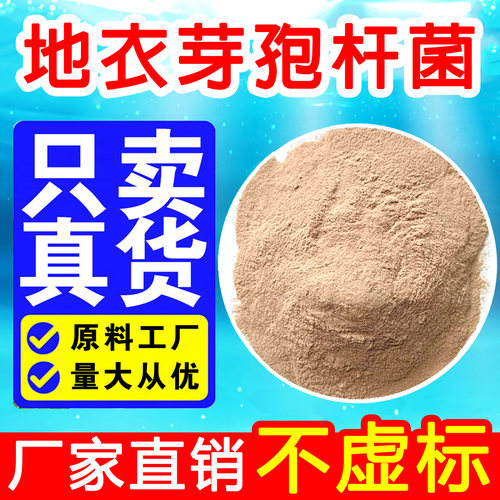 地衣芽孢杆菌1000亿微生物菌剂水产养殖全水溶农业枯草芽孢杆菌
