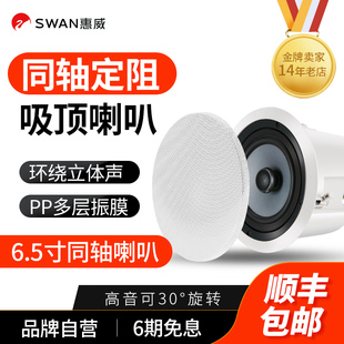 HiVi惠威HS506A吸顶喇叭定阻同轴嵌入式 背景音乐天花吊顶音响套装