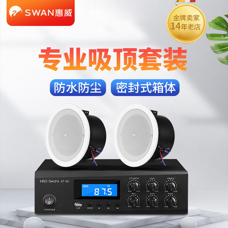 Hivi/惠威 TD206A吸顶喇叭天花吊顶音响带后罩卫生间浴室防水音箱