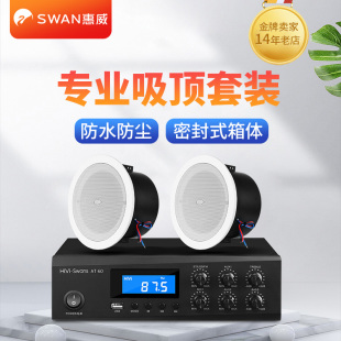 Hivi TD206A吸顶喇叭天花吊顶音响带后罩卫生间浴室防水音箱 惠威