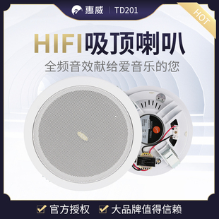 Hivi TD202吸顶喇叭天花喇叭店铺背景音乐音箱吊顶音响 惠威TD201