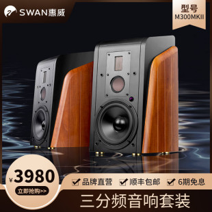 蓝牙音响 M300MKII有源三分频HiFi书架音箱电脑电视台式 Hivi 惠威