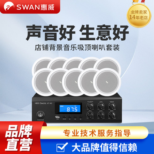 惠威td202背景音乐音箱吸顶喇叭