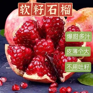 正宗四川会理突尼斯软籽石榴新品上市爆甜应当季新鲜水果孕妇可食